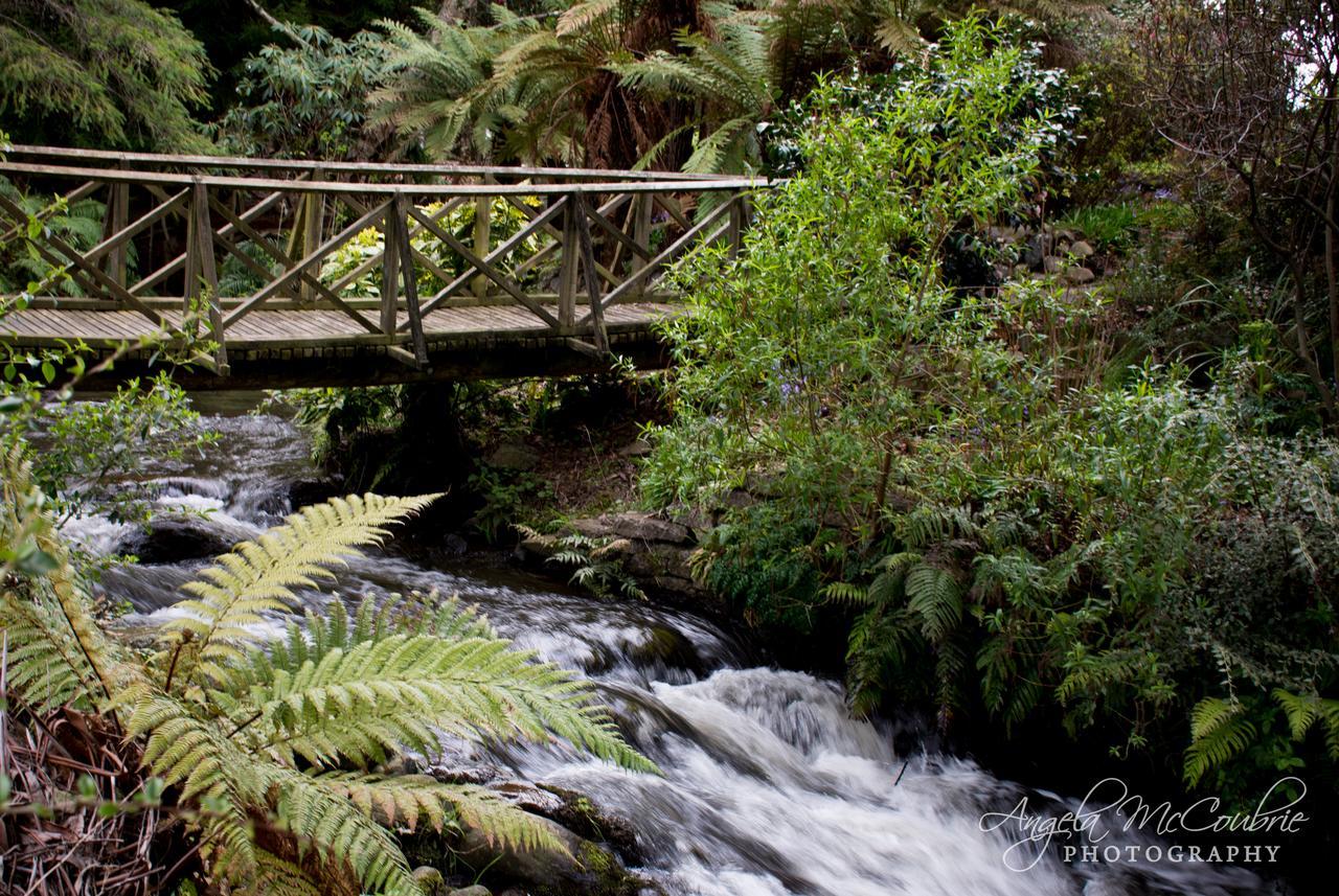 Bed and Breakfast Frankie & Hugh'S Ohakune Exteriér fotografie